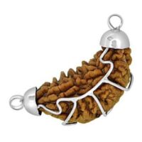 Certified Half moon shaped one mukhi indian rudraksha for Heart patients in white metal cap